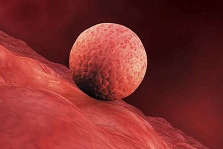 贵阳试管婴儿怎么样（贵阳试管婴儿成功率较好的是哪家）