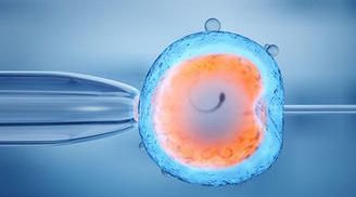 详细解读临江市做长方案试管婴儿费用，长方案和短方案成功率有差别吗？