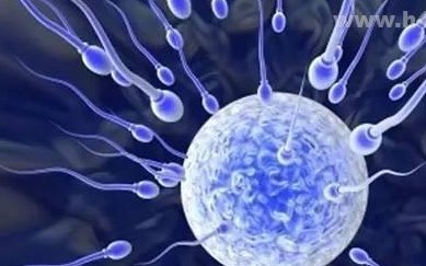 试管婴儿的注意事项有哪些？移植阶段有哪些注意事项？这些坑你都踩过吗？