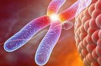 泰国三代试管医院哪家好？附医院专家介绍