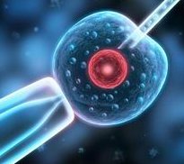 选择三代西安试管婴儿的利与弊：经济负担与心理准备的双重考量