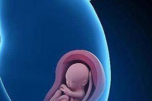 不孕不育在亳州市做试管的费用有多少？一文告诉你做三代试管建档的流程有哪些